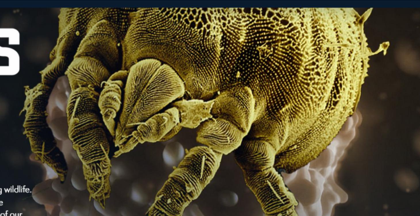 Life on Us - A Microscopic Safari