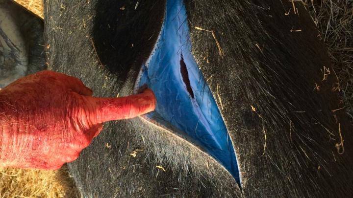 DAILY SIMCHA SCIENCE - SATURDAY 03/15/2026