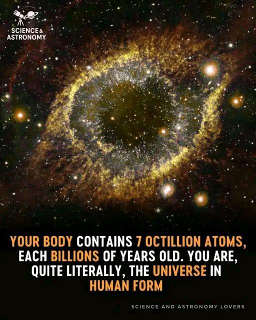 DAILY SIMCHA SCIENCE - WEDNESDAY 04/01/26