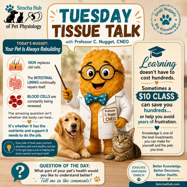 Tuesday Tissue Talk with Professor C. Nugget, CNEO