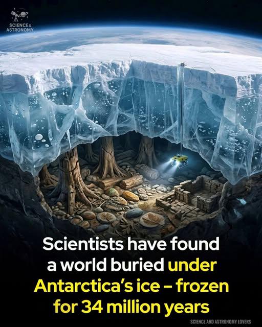 DAILY SIMCHA SCIENCE - TUESDAY 03/24/26