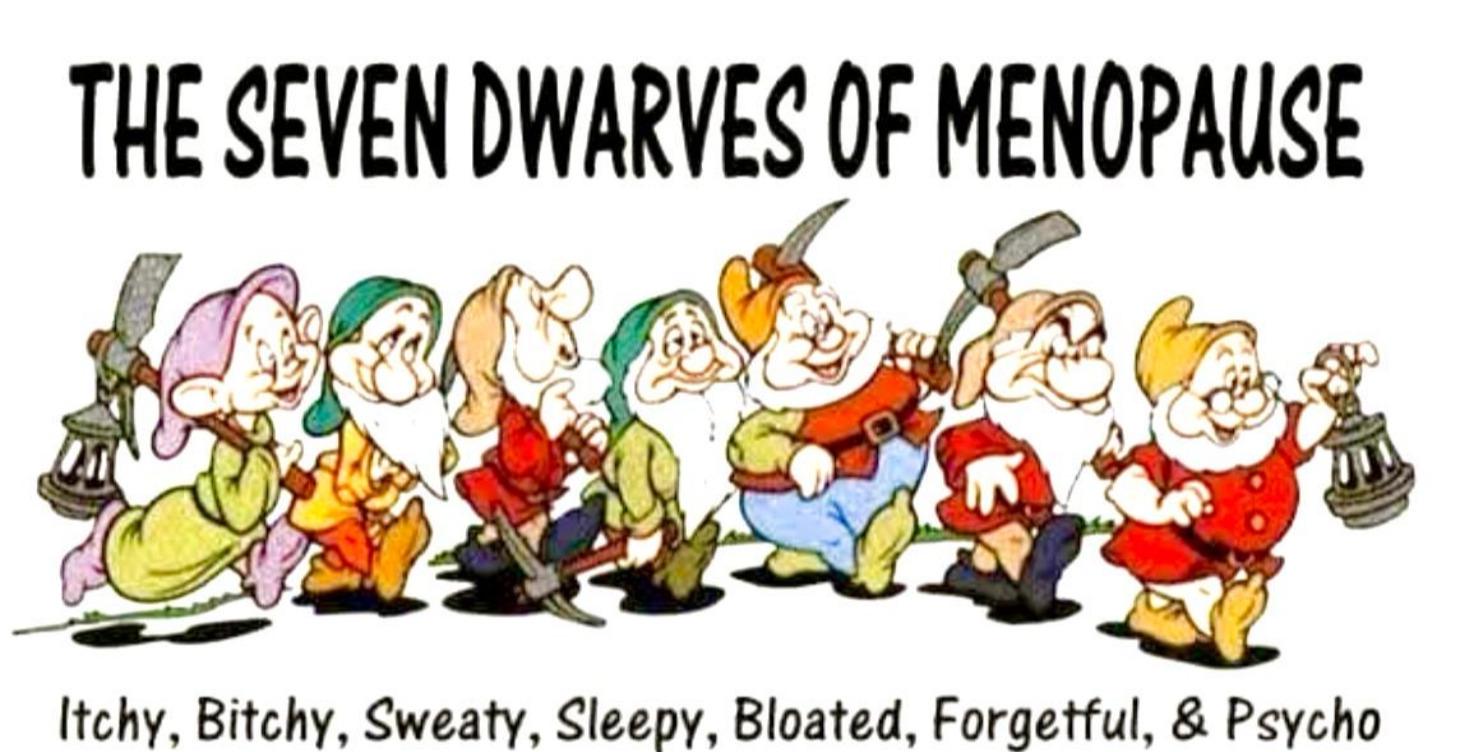 Understanding Menopause Through a Functional Lens