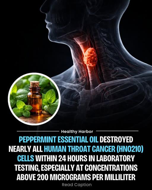 DAILY SIMCHA SCIENCE - THURSDAY 02/19/26