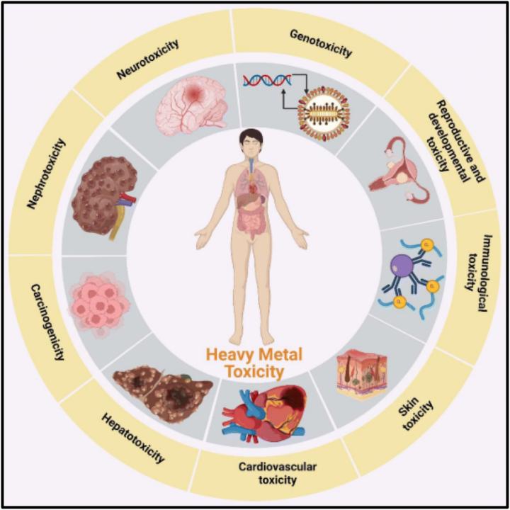 Thursday: The Metals That Mimic Every Diagnosis