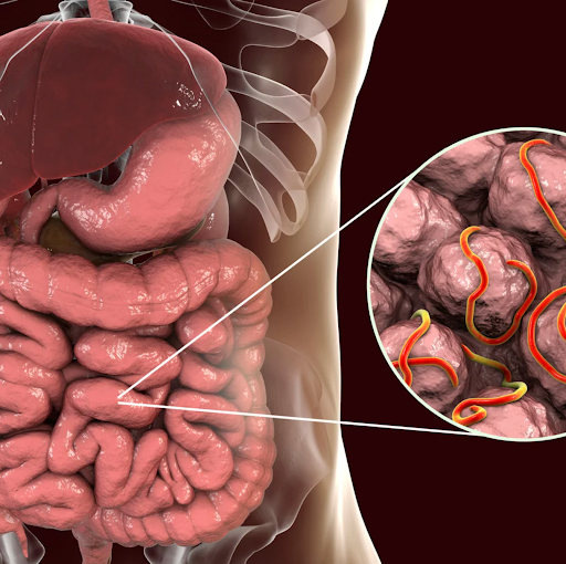  Undercover Tuesday: Parasites Don’t Want to Be Found