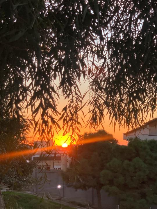 Boucherit Nour el Imane