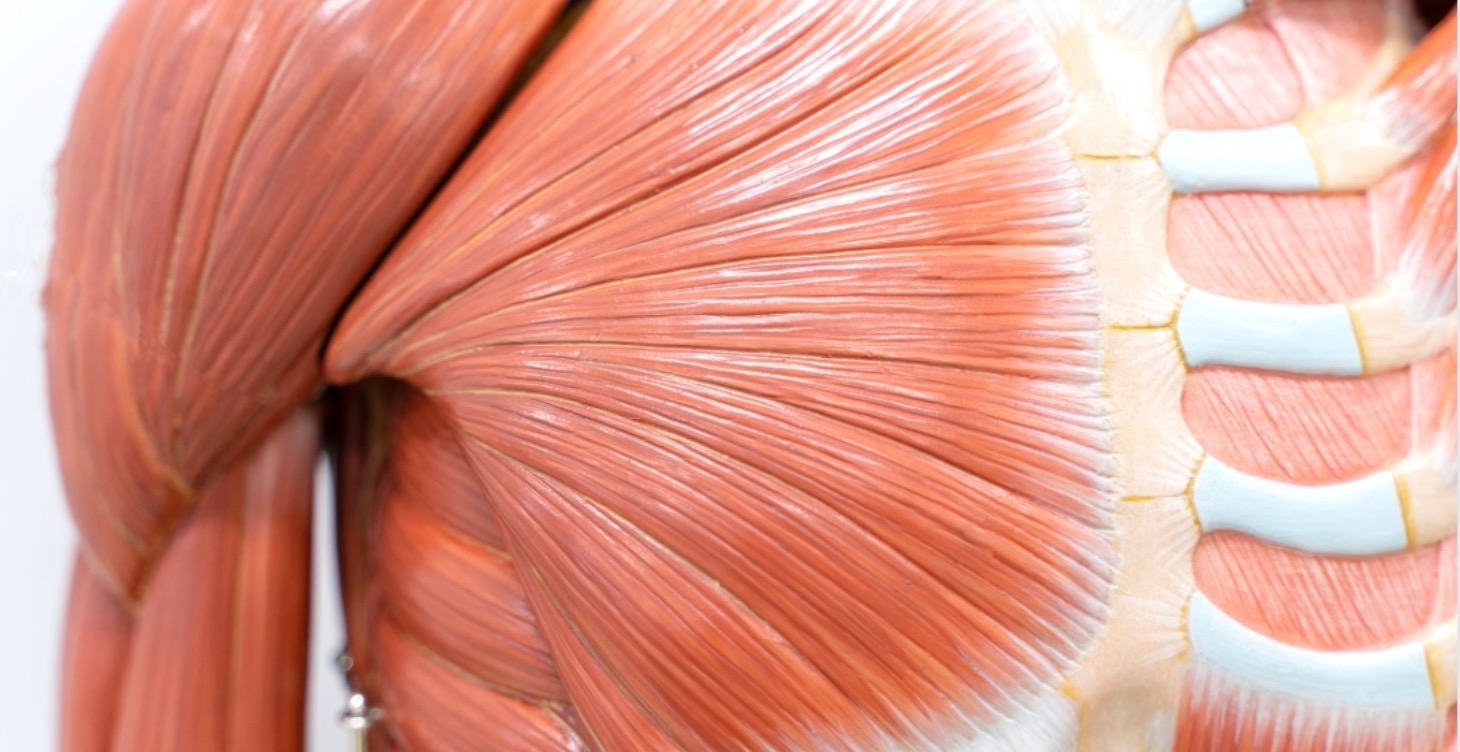 Exercise to improve your quality of life!