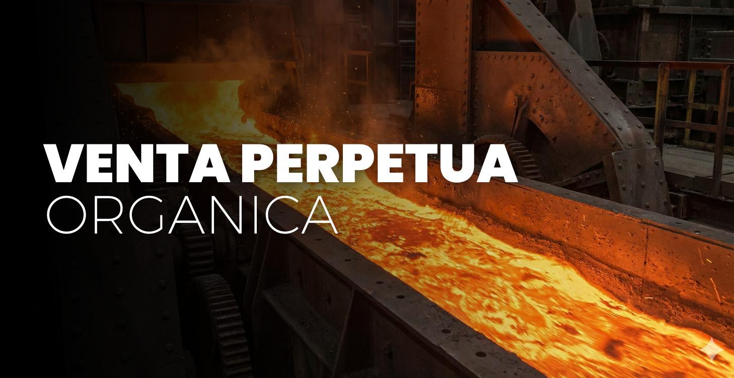 📈 VENTA PERPETUA ORGANICA