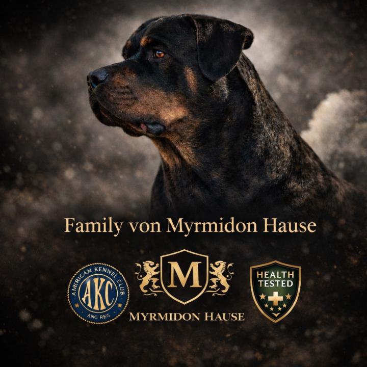 Myrmidon Hause