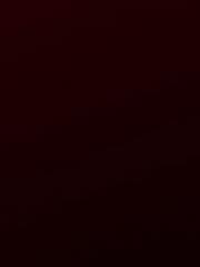Nour Said