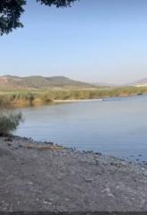 משה גוטשטיין