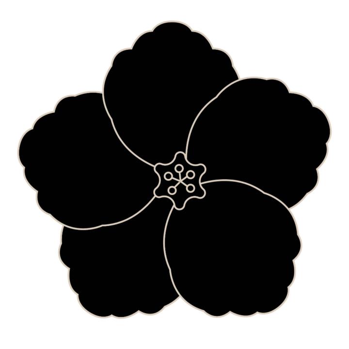 Laura Schiavein Pasa