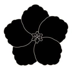 Laura Schiavein Pasa