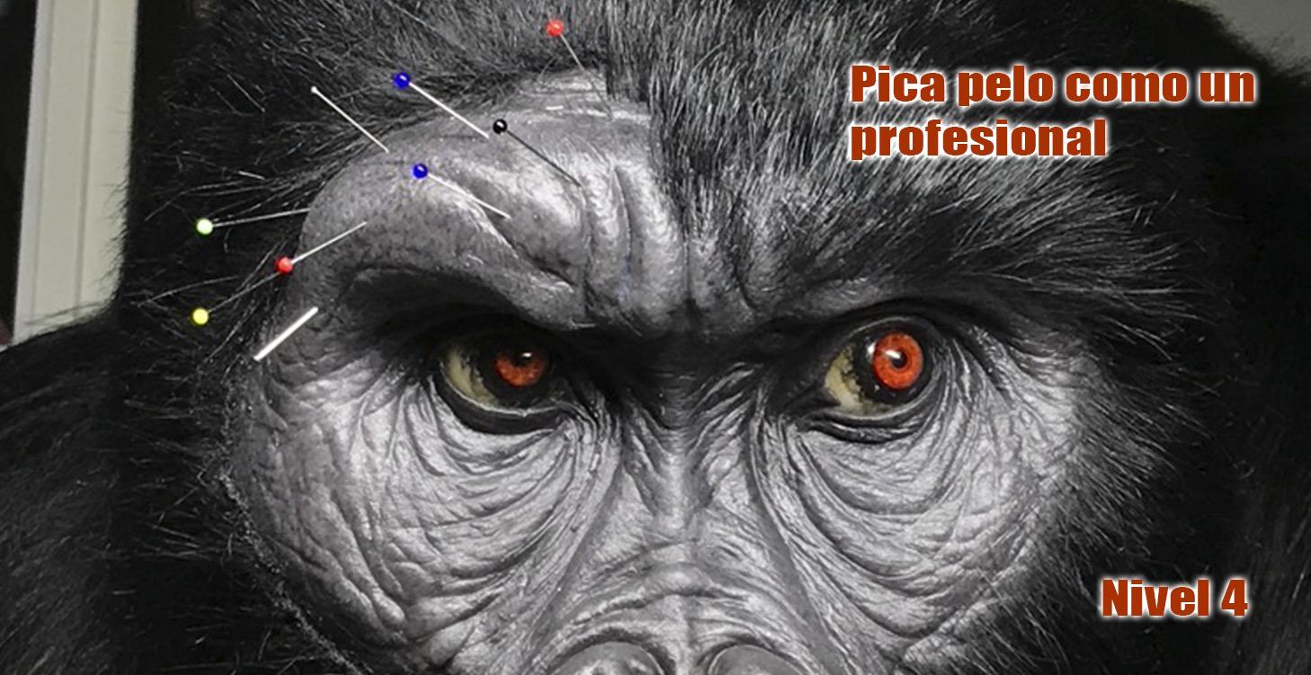 Pica pelo en silicona como un profesional.