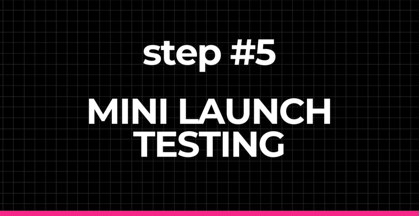 Mini Launch Testing