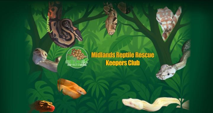 Midlands Reptile Keepers Club