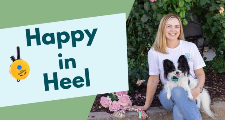 Happy in Heel Collective 