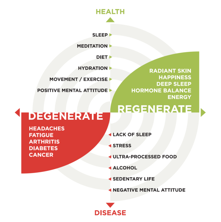 Happy Healthy YOU BOOK