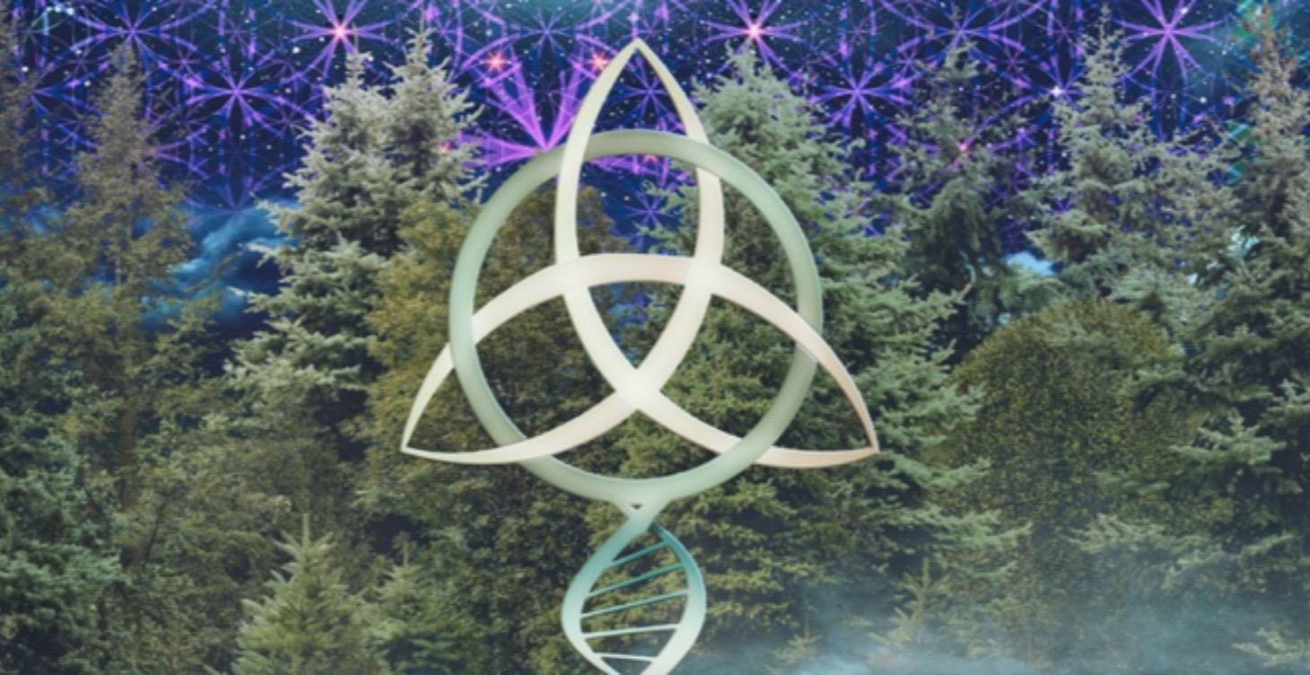 Trinity Springs Water Activation & DNA Disclosure