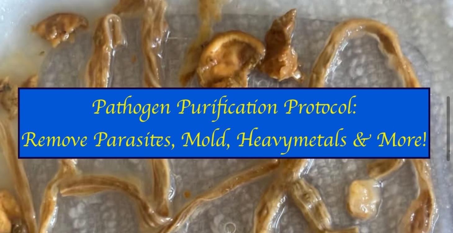 Pathogen Purification Protocol
