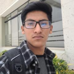 Johan Gonzales Flores