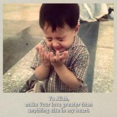 Firdous Ali