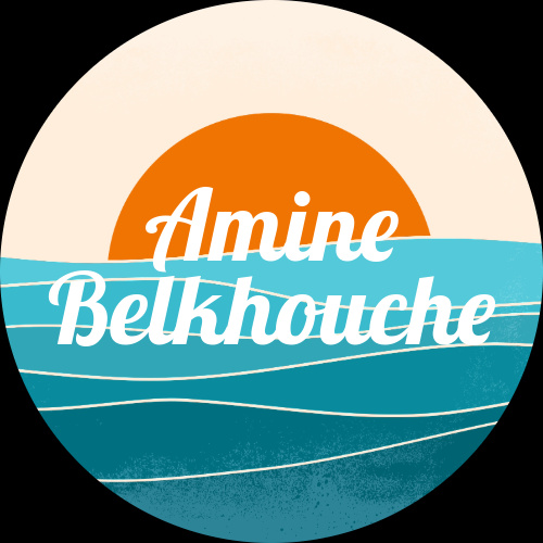 Amine Belkhouche
