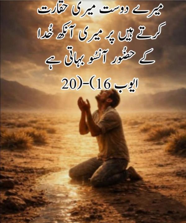 Arooj Zahid