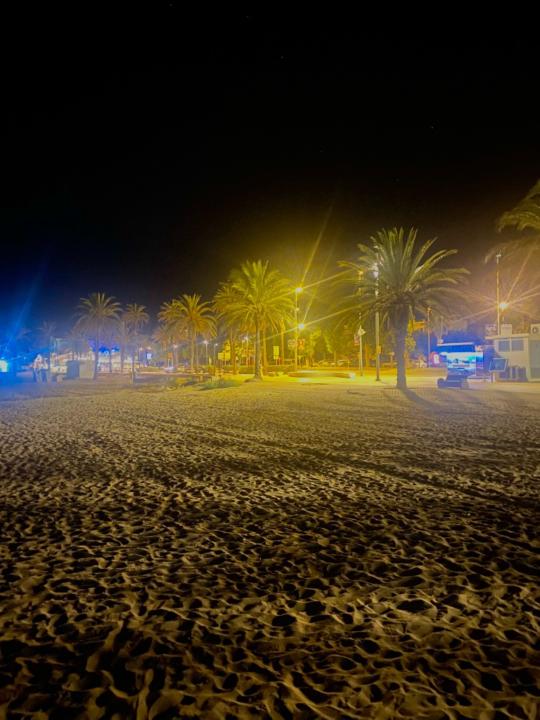 Rudy Bourbon bruyere