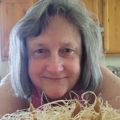 Robin Lamarche