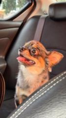 Pornthawee Thaweesin