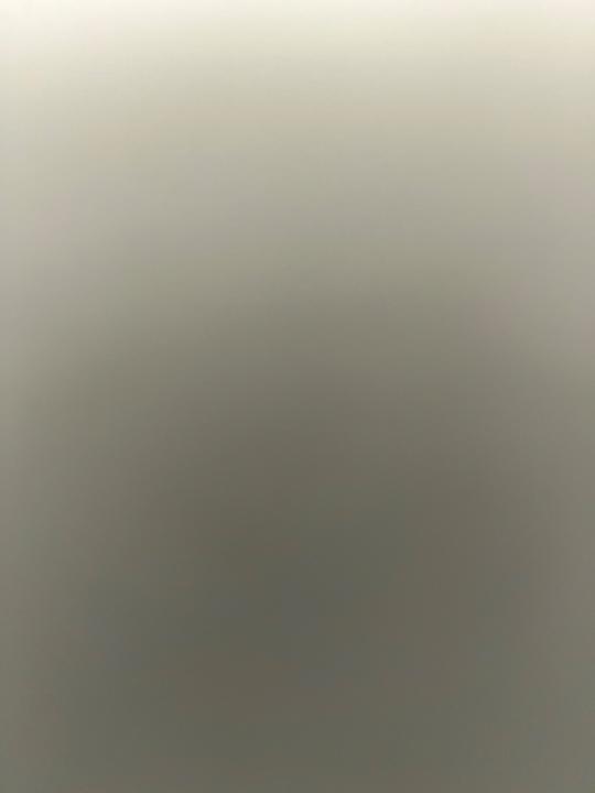 Avanissh Kanesalingam