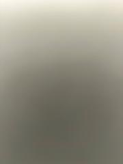 Avanissh Kanesalingam