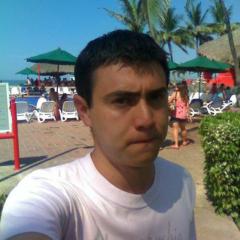 Luis Fernando Higareda Amezcua