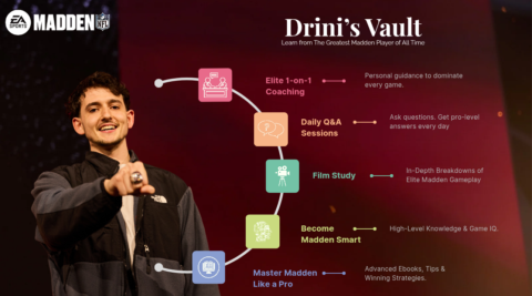 Drini's Vault gallery image