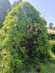 Laura Černiauskienė