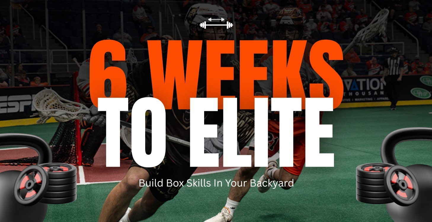 6 Weeks To Elite Box Skills
