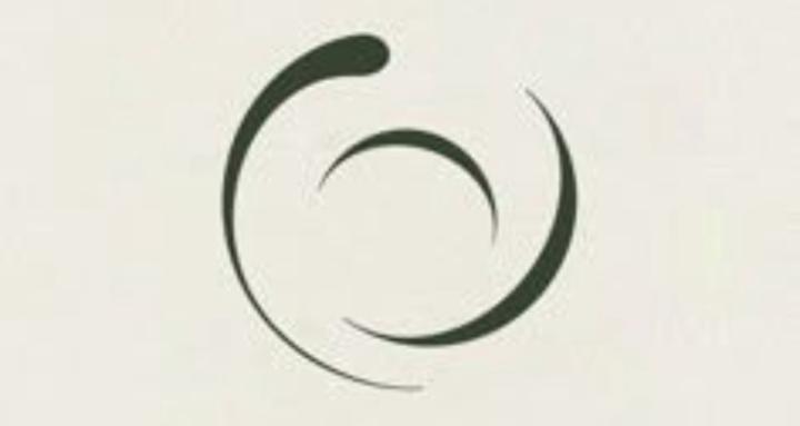 WITHIN YOGA COLLECTIVE