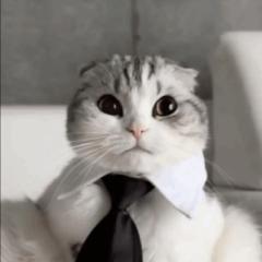 Sebastian Stolarczyk