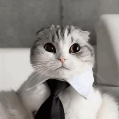 Sebastian Stolarczyk