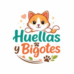 Jose Angel Flores Blazquez