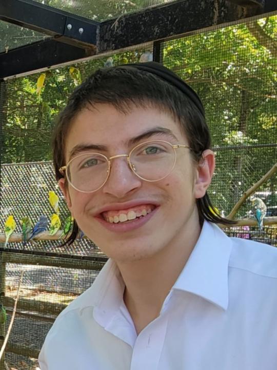 Duddy Taub