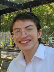 Duddy Taub
