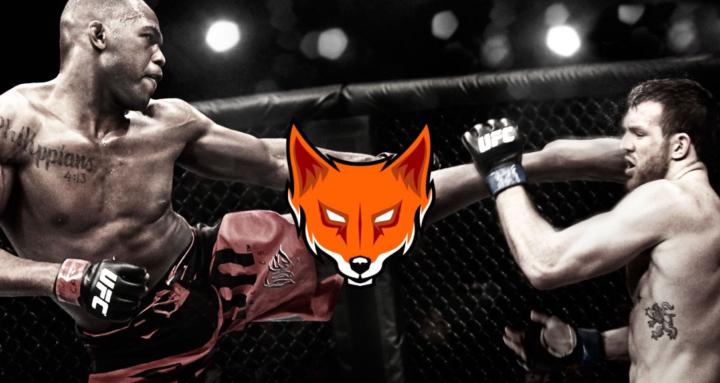 Fox Defense Fighting Program.