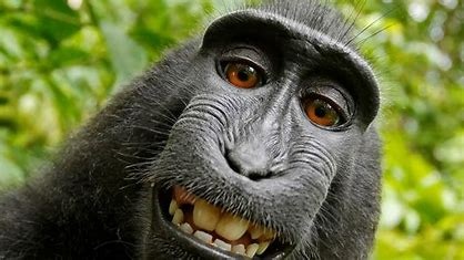 Jamie Van bijsterveld