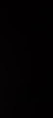 T E