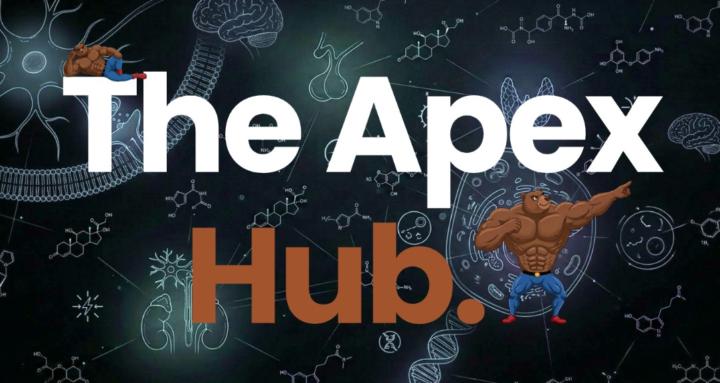 The Apex Hub