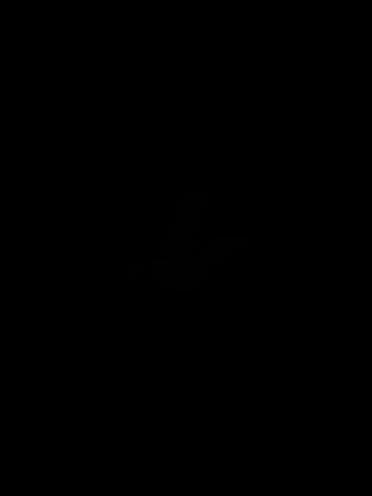 Hollie Munson