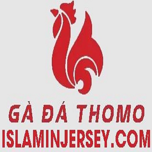 Trực tiếp đá gà Thomo