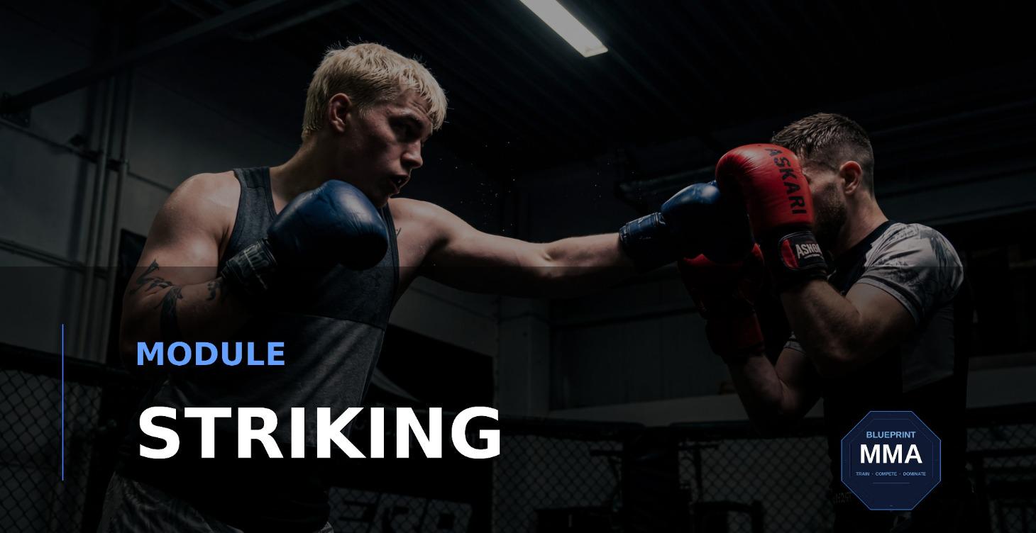 Free Striking Module